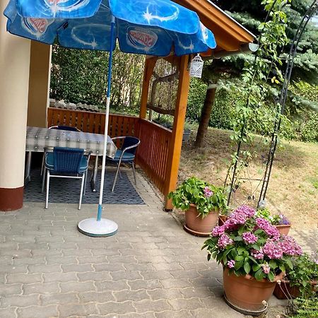 Ferienwohnung Katalin App. Zalagyoengye Zalakaros Exterior foto